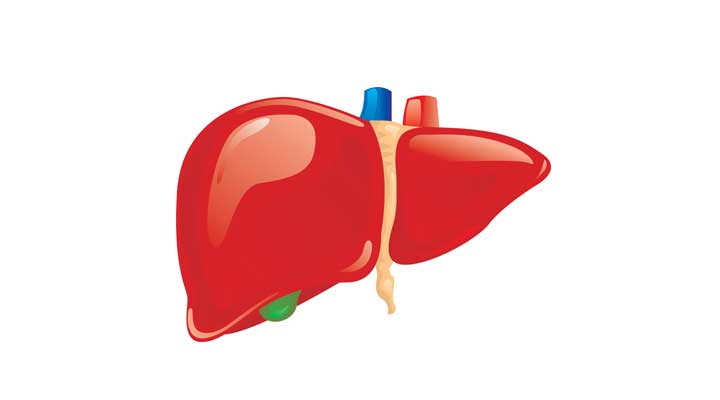 Pickles is good for liver