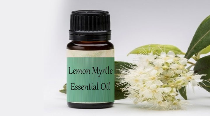 oil for treating scalp infections