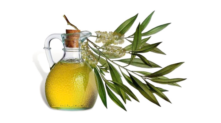 herbal oils for treating scalp infections
