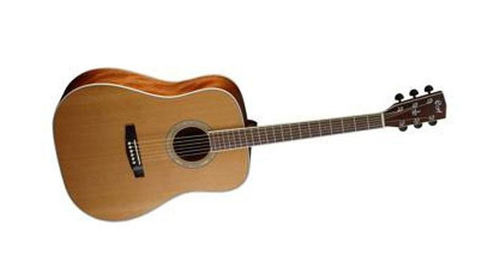 acoustic guitar for beginners