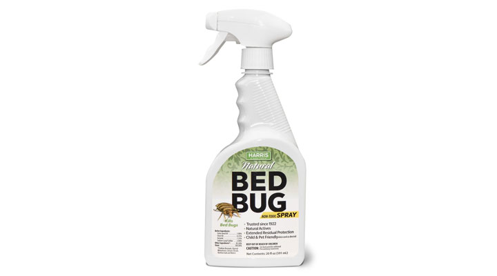 best bug spray