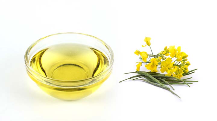 best cooking oil
