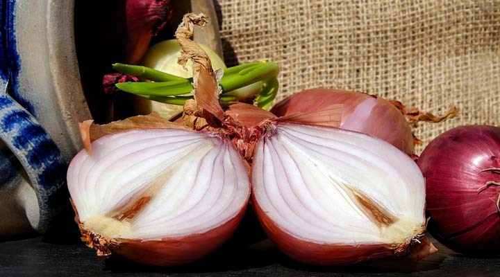 Prevent Hair Loss using onion juice