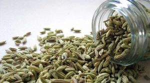 best fennel seeds