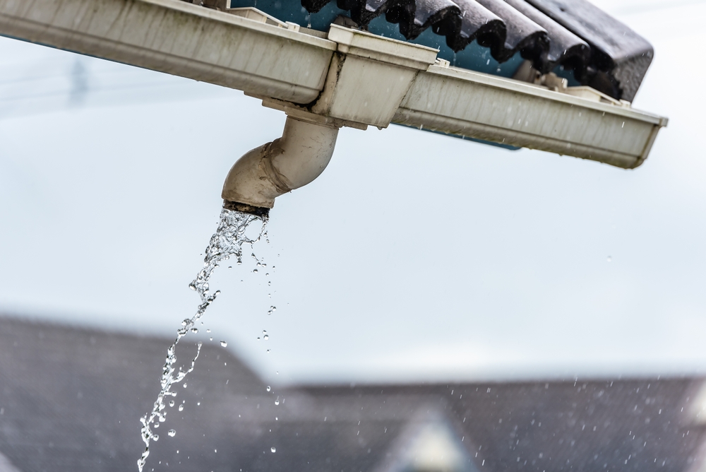 rain gutter downpipe